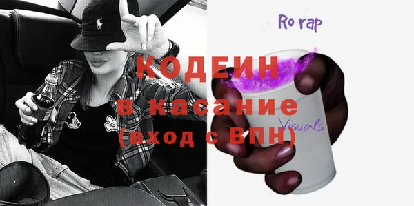 сатива Корсаков