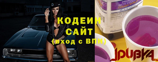 сатива Корсаков