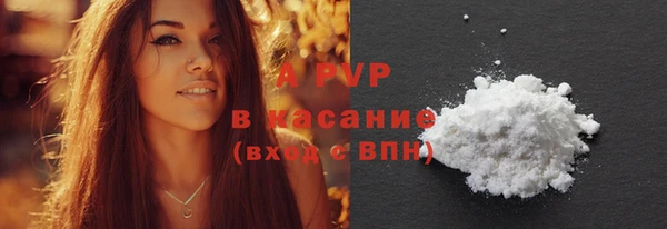сатива Корсаков
