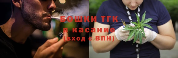сатива Корсаков