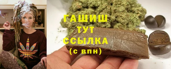 индика Краснотурьинск