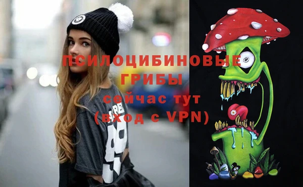 сатива Корсаков