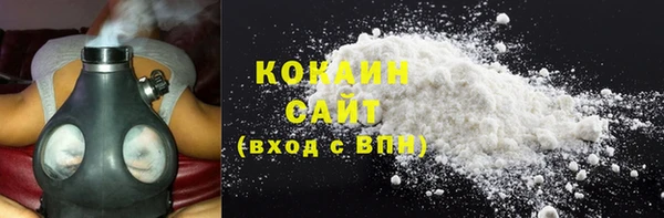 сатива Корсаков