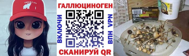 Купить закладки  Гусь-Хрустальный  Галлюциногенные грибы MAGIC MUSHROOMS 